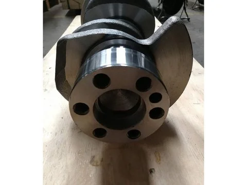 Коленвал 1123104700 для Isuzu двигателя 6BG1 6BG1T грузовика John Deere CASE Hitachi экскаватора Forged Steel